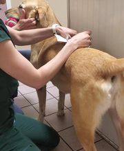 Veterinary Medical Center image 1