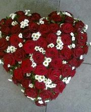 Blumen Heselmann Bild 7