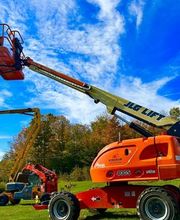 Kingdom Trailers image 10