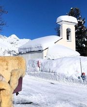 Clalüna-Sils Kutschenfahrten Bild 4