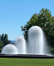 VALORE-Beratung A.Gräub Bild 1