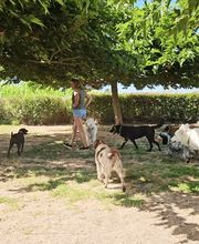 Le Domaine de Noisette image 6