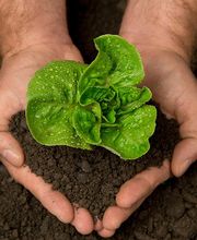 Foto Pucci Sagl Bild 11