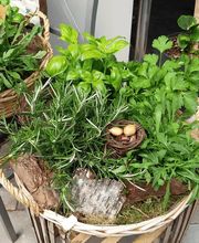 Blumenparadies und Biologischer Gartenbau Becher Bild 1