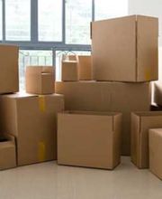 All Moves Are Us image 4