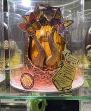 La maison du Carac Bild 12