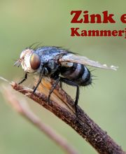Schädlingsbekämpfung Zink e.K. Bild 1