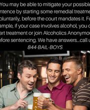 The Bail Boys Bail Bonds image 10