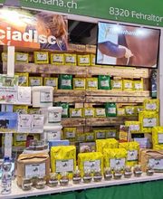 HORSANA Reitsport AG Bild 7