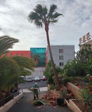 Jardinería Juan García imagen 4