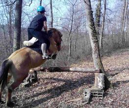 Equiloisirs image 3
