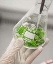 Ecole d'ingénieurs biotechnologies Paris - SupBiotech image 9