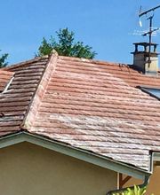 Eden Habitat image 18