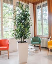 Rücken Privatpraxis - Dr. med. Bakki, Orthopäde Bild 2