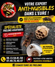 Chass'eure de Frelons image 3