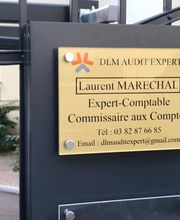 DLM Audit Expert image 3