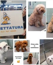 Gallery Cliente
