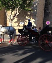Picadero Escuela Las Cruces imagen 15