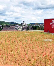 Rossi Dach AG Bild 5