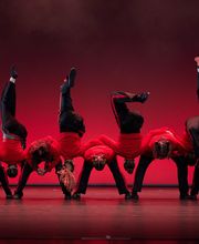 Verein TDC dance company & school Bild 4