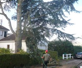 D'une branche à l'autre image 1