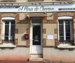 A FLEUR DE CHEVEUX image 4