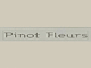 Pinot Fleurs EURL
