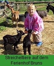 Ferienhof Bruns Bild 4