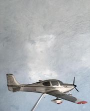 Salamandre Blanche image 17