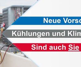 Kracker Bild 1