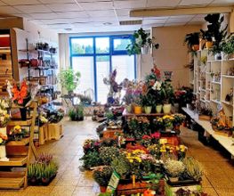 Kliewe Blumengeschäft Bild 1