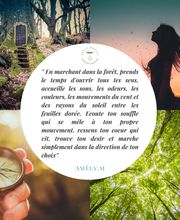 Montel Amély- magnétiseur - Thérapeute Energéticienne image 3