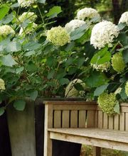 Jardins Intemporels image 10