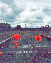 Polaris Géomètres-Experts image 4