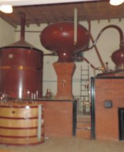 Les Ormeaux image 11