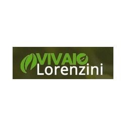 Vivaio Lorenzini logo