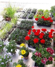 Rural Equipement image 1