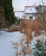 Antje Wagner Bild 17