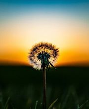 Mindsetcoach - Nicole Sandri Bild 3