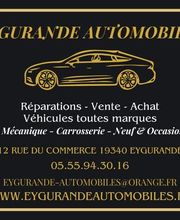 Eygurande Automobile image 3