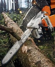 Espace Motoculture Loisirs image 12