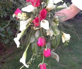 FABY JARDIN Bild 14