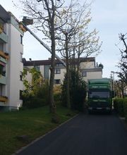 Felger Umzüge & Transporte | Einlagerung | Transporter Vermietung | Ludwigsburg Bild 6