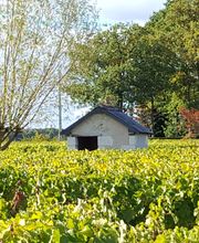 Maison Peltier image 4