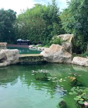 L'Atelier Piscines image 7