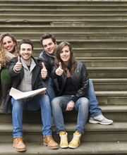 Agent Lingua imagen 3