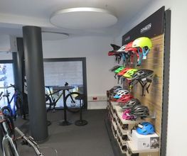 MF Bikes Bild 7
