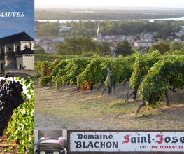 Domaine Blachon image 13