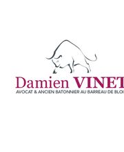 Vinet Damien image 2