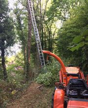 Des Racines à la Cime image 8